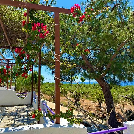 Studios Crete Ferma Extérieur photo