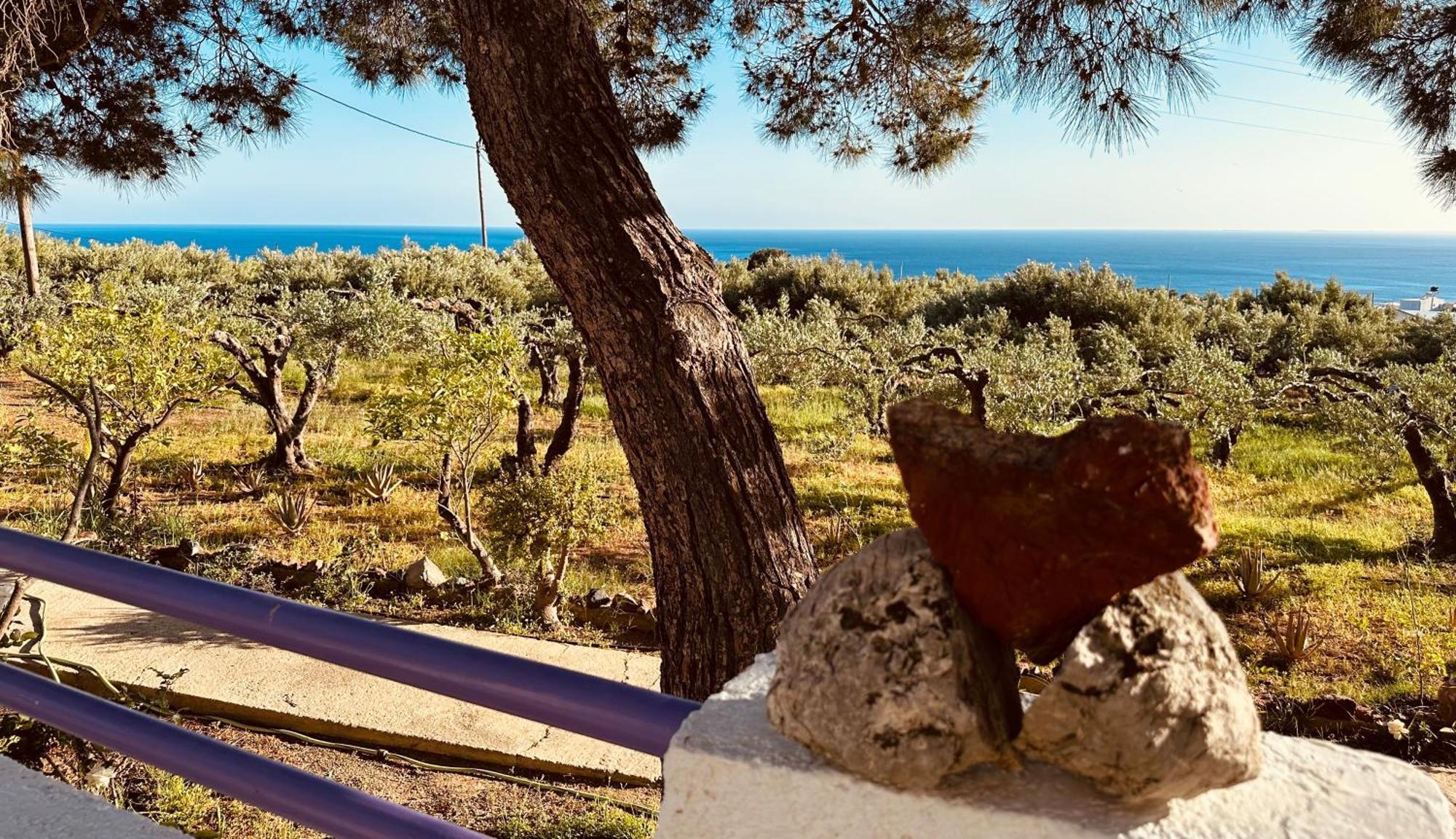 Studios Crete Ferma Extérieur photo
