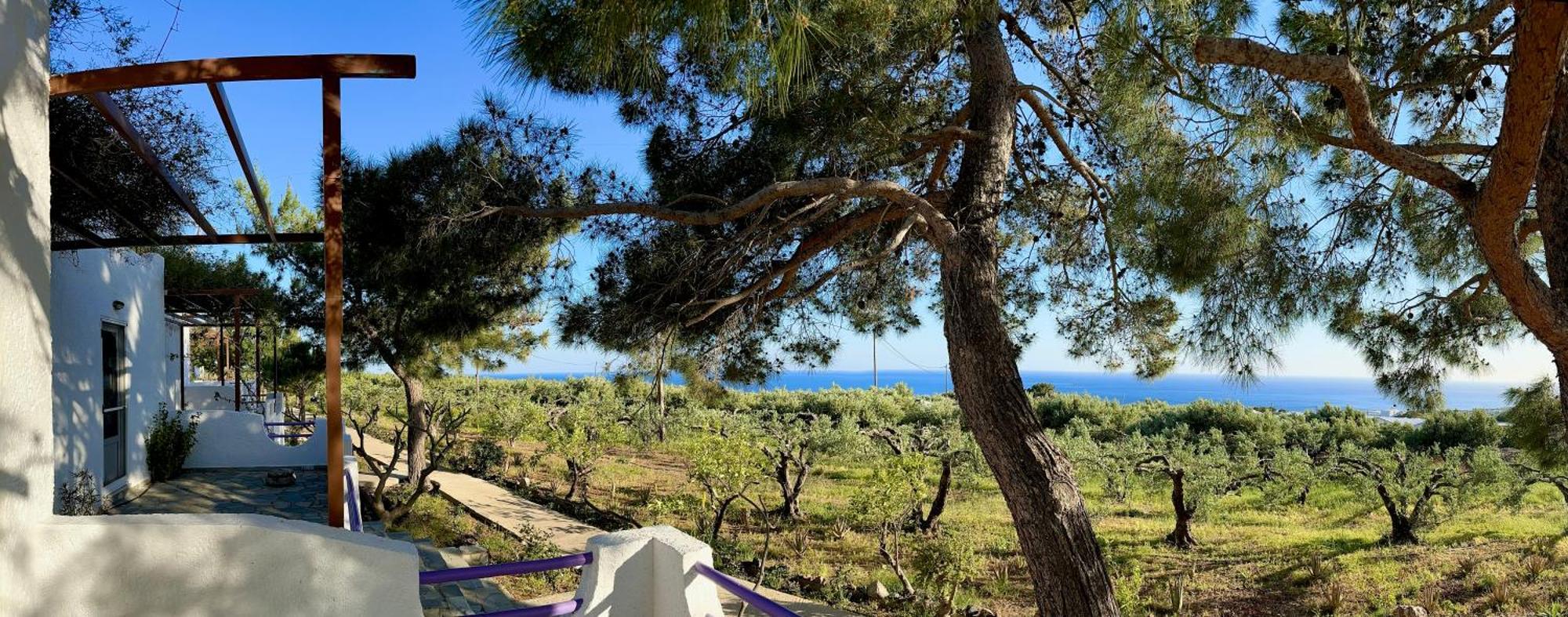 Studios Crete Ferma Extérieur photo