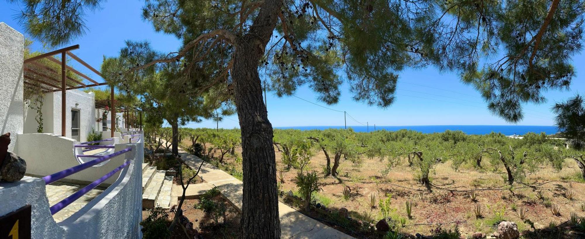 Studios Crete Ferma Extérieur photo