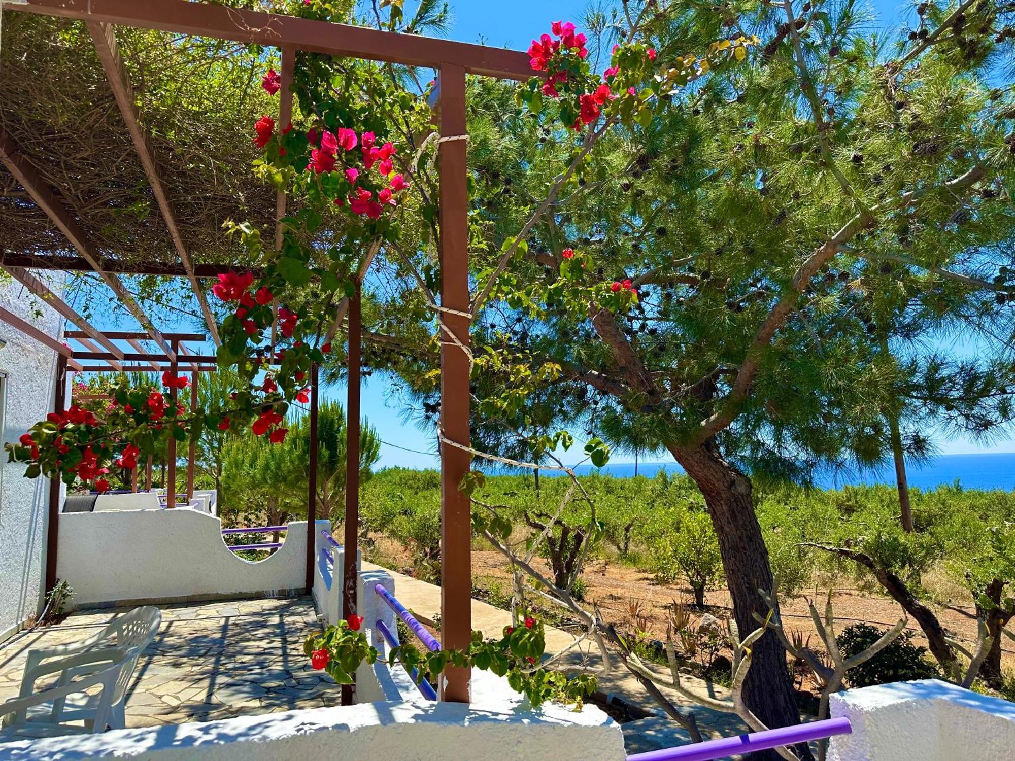 Studios Crete Ferma Extérieur photo