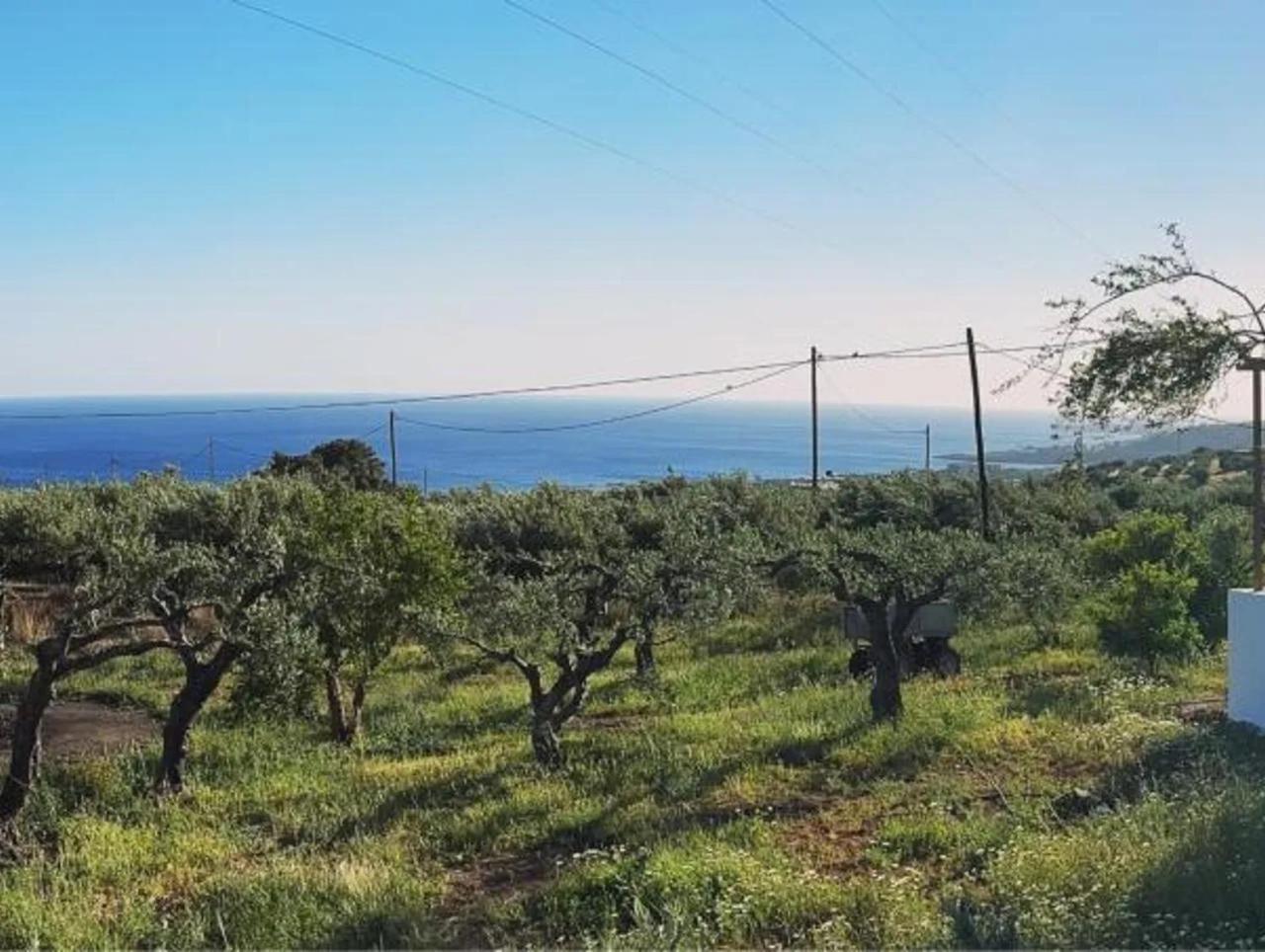 Studios Crete Ferma Extérieur photo